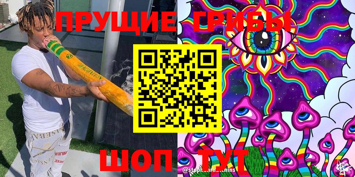 Псилоцибиновые грибы Cubensis Чистополь