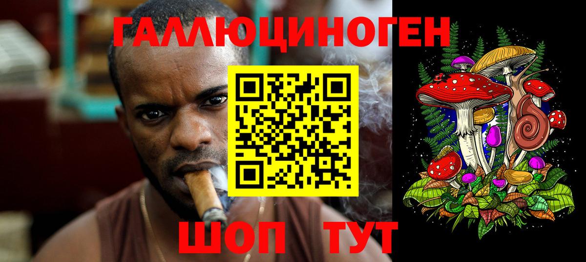 Чистополь  Псилоцибиновые грибы Cubensis  наркошоп  Вход с VPN 